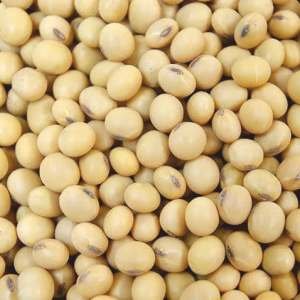 Soyabean